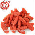 Super Berry Sun seco Goji bagas frutas vermelhas